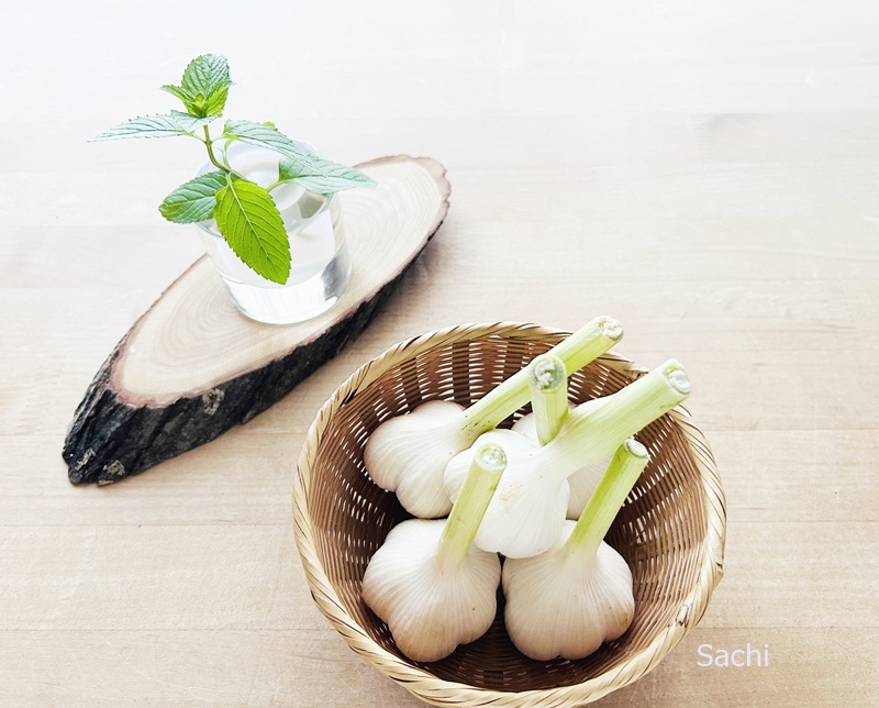 新にんにく