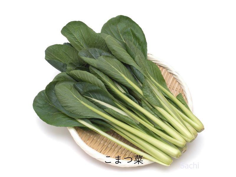 こまつ菜